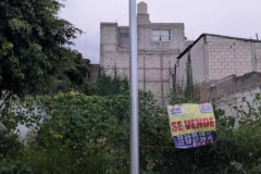 Historia de Instagram frase Inmobiliaria real state azul y amarillo - 1