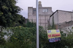 Historia de Instagram frase Inmobiliaria real state azul y amarillo - 1